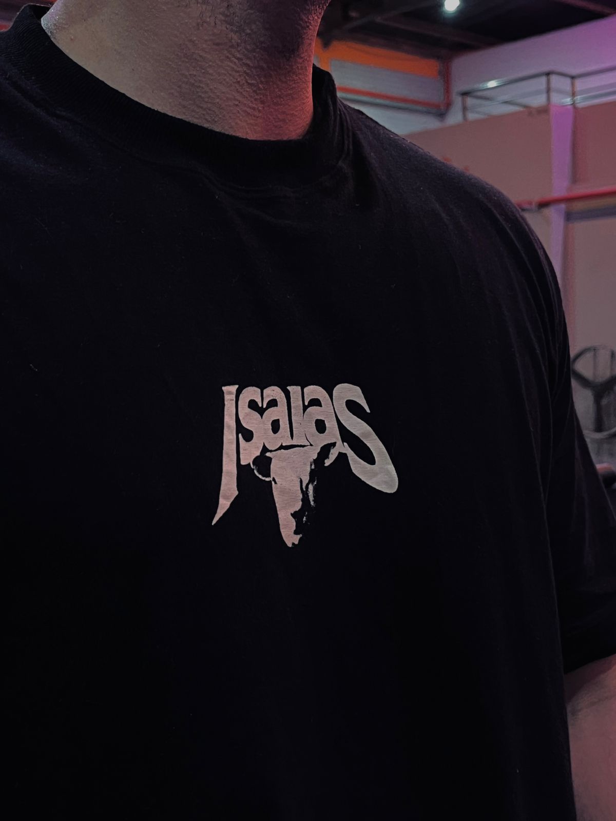 Camiseta Isaias 53:6-7